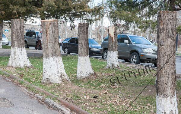 Вырубка деревьев в Давташене - Sputnik Армения