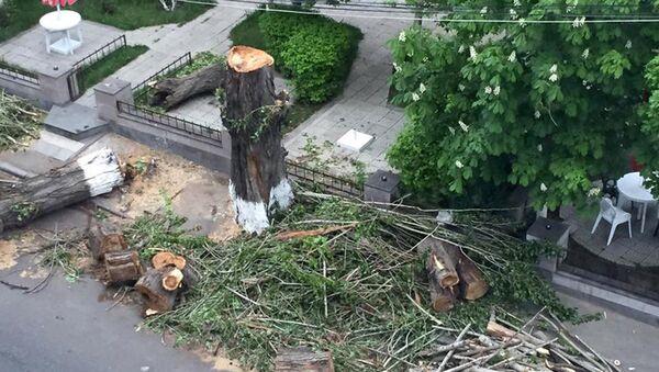 Вырубка деревьев в Арабкире - Sputnik Արմենիա