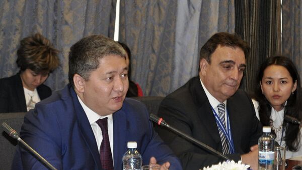 Исполняющий обязанности председателя комитета гражданской авиации Талгат Ластаев - Sputnik Армения