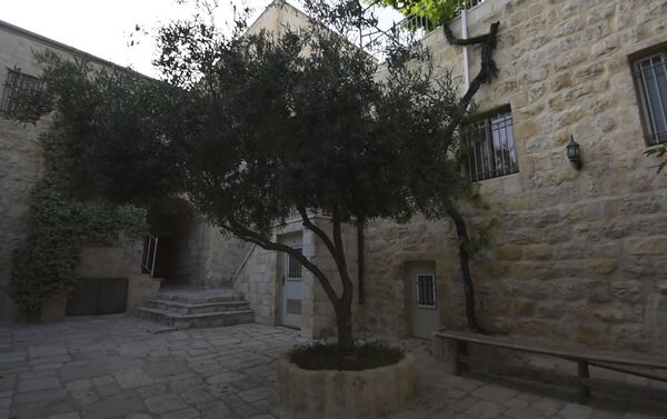 Монастырь Святых Архангелов в Иерусалиме и оливковое дерево монастыря - Sputnik Армения