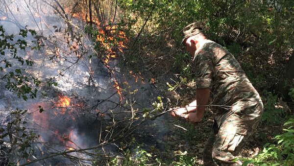 Пожар в хосровском лесу - Sputnik Արմենիա