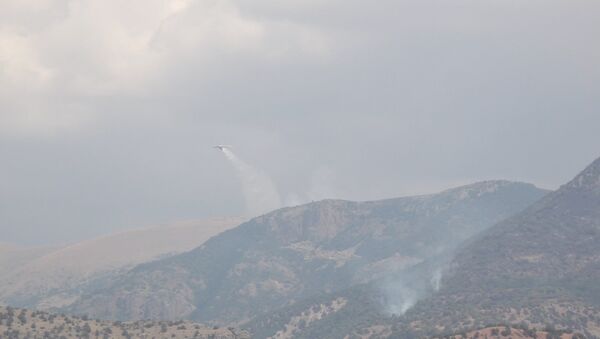Тушение пожара в Хосровском лесу с помощью российского самолета Ил-76 - Sputnik Արմենիա