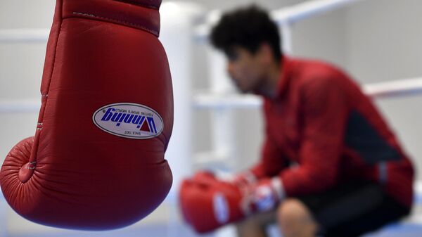 Бокс, боксерские перчатки - Sputnik Армения