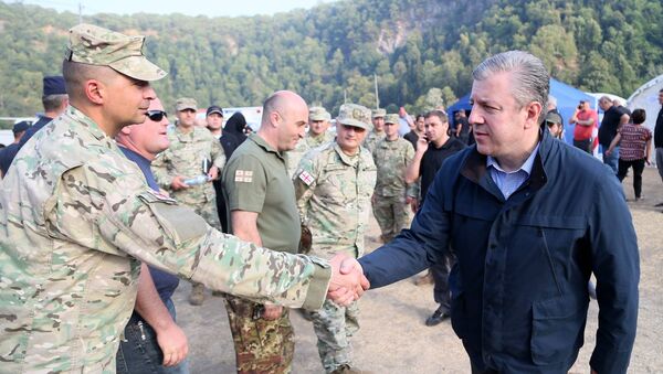 Военные и Георгий Квирикашвили в Боржоми-Харагаульском лесу - Sputnik Армения