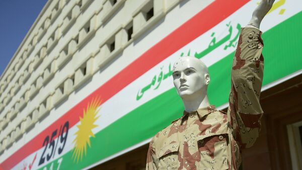 Агитация за независимость Иракского Курдистана на улицах Эрбиля - Sputnik Армения
