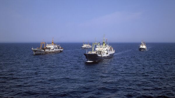 Рыболовные суда на промысле в Каспийском море. - Sputnik Արմենիա