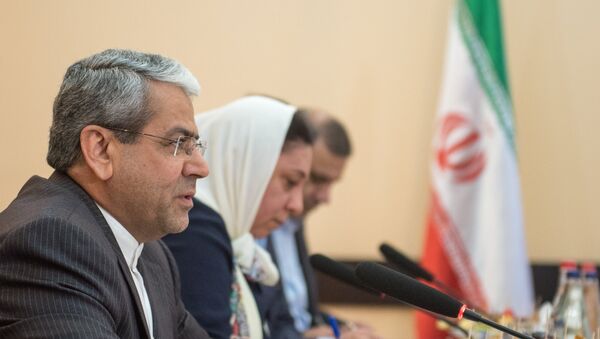 Глава иранской налоговой службы, замминистра финансов и экономики Тахааи Нежат - Sputnik Армения