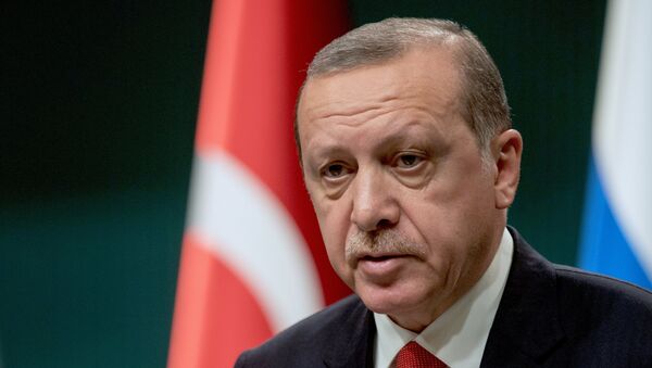 Президент Турции Реджеп Тайип Эрдоган - Sputnik Армения