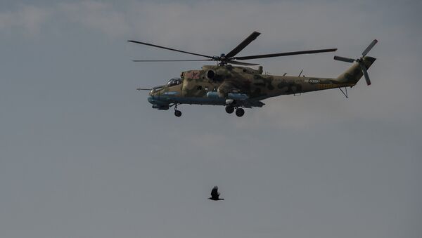 Вертолет Ми-24 и орел - Sputnik Армения