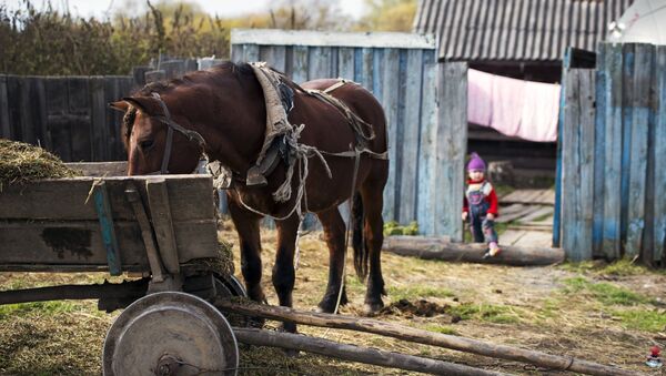 Сельское поселение - Sputnik Արմենիա