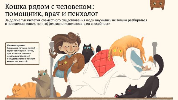 Фелинотерапия и другие прелести общения с кошками - Sputnik Армения