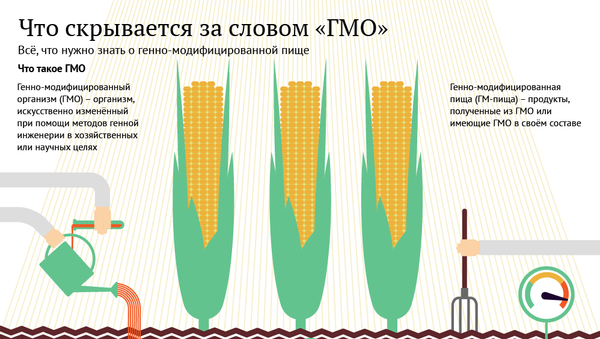 ГМО: что это такое и стоит ли бояться - Sputnik Արմենիա