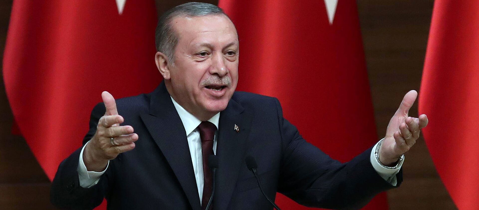 Президент Турции Р.Т.Эрдоган во время выступления в Президентском дворце. Анкара, Турция - Sputnik Армения, 1920, 04.04.2021