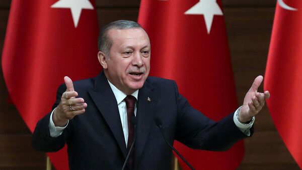 Президент Турции Р.Т.Эрдоган во время выступления в Президентском дворце. Анкара, Турция - Sputnik Армения
