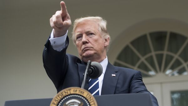 Президент США Дональд Трамп - Sputnik Армения