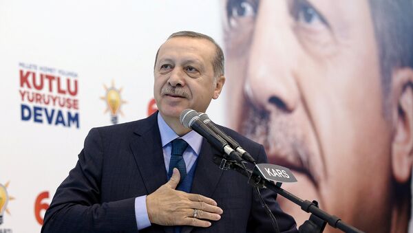 Президент Турции Р.Т.Эрдоган - Sputnik Արմենիա
