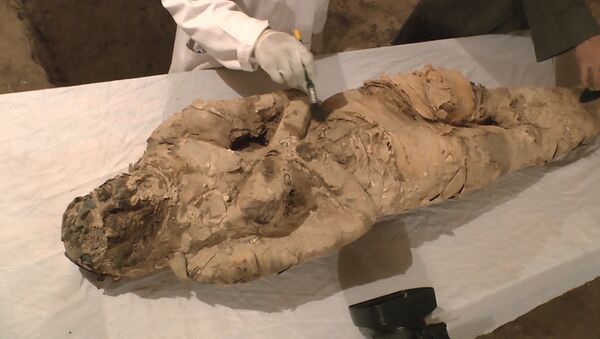 В египетском Луксоре нашли мумию - Sputnik Արմենիա