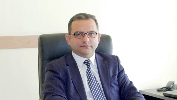 Заместитель министра экономического развития Армении Тигран Хачатряна - Sputnik Արմենիա