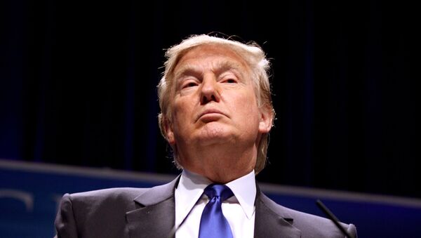 45-ый президент США Дональд Трамп - Sputnik Արմենիա